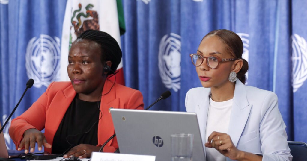 ONU ve lejos en la práctica el reconocimiento de los pueblos afromexicanos