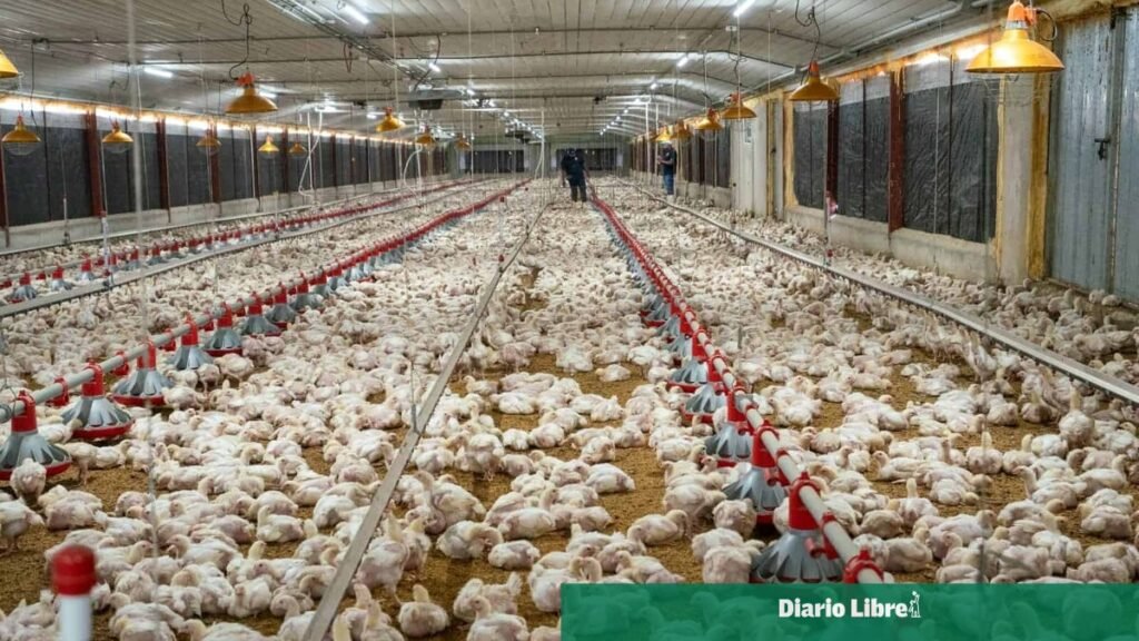 ADA respalda la ley que hace permanente la exoneración al agro