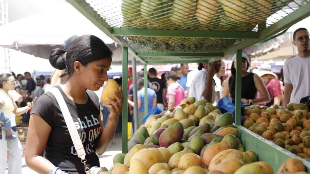 Baní obtiene por ley el título de “Capital del Mango” y se reactiva el debate sobre el Congreso