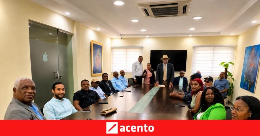 Sector externo de Leonel consolida su organización nacional y suma independientes