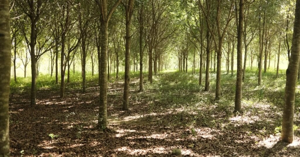 Propuesta de CAMIPE: vacíos de la ley minera en cierre ambiental y control público