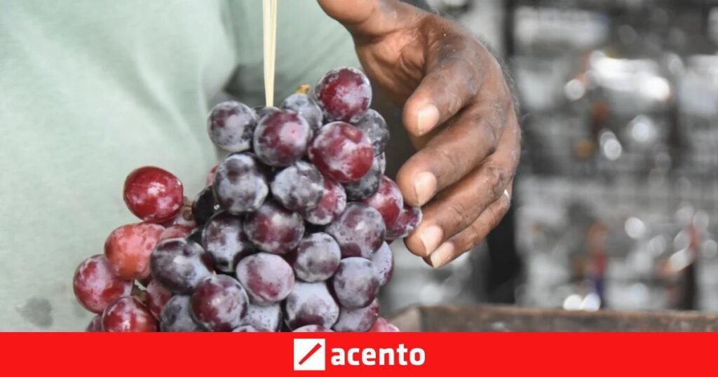 Uvas y vinos al borde de la vía sostienen el pulso económico del Sur dominicano