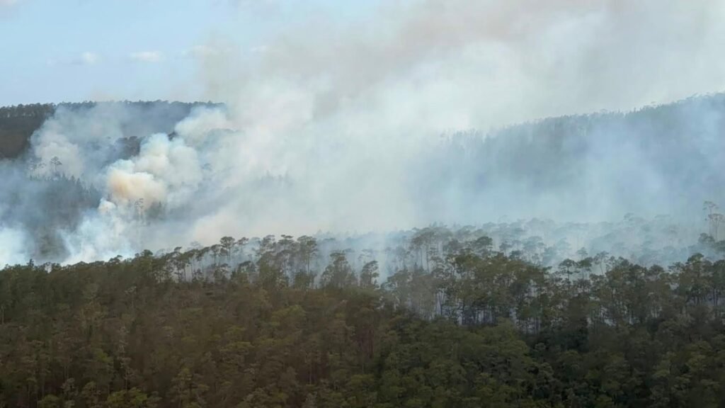 Sierra de Bahoruco sigue bajo fuego y obligó a ampliar el operativo