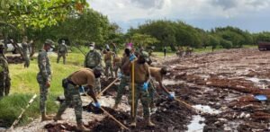 Más de 400 personas participan en Barahona en un operativo para retirar el sargazo que cubre playas y litoral
