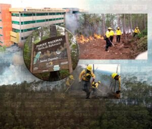 Sierra de Bahoruco sigue bajo fuego y el Gobierno refuerza el operativo en El Codo
