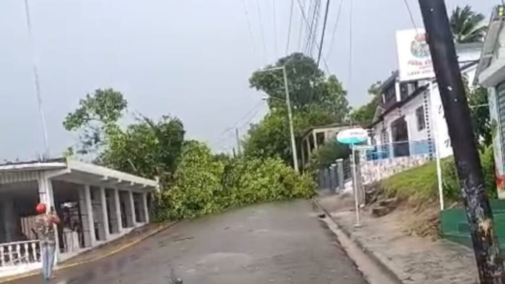 Árboles caídos y vías obstruidas en Loma de Cabrera impulsan pedido de acción inmediata