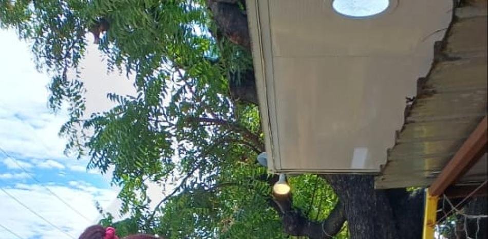 Baní inaugura hoy la Feria del Mango en una nueva sede por obras en el parque municipal
