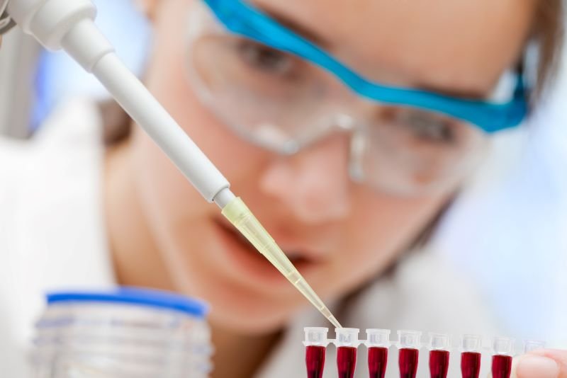 Un mecanismo del hígado abre nuevas vías frente a diabetes y obesidad y refuerza la urgencia de respuestas efectivas