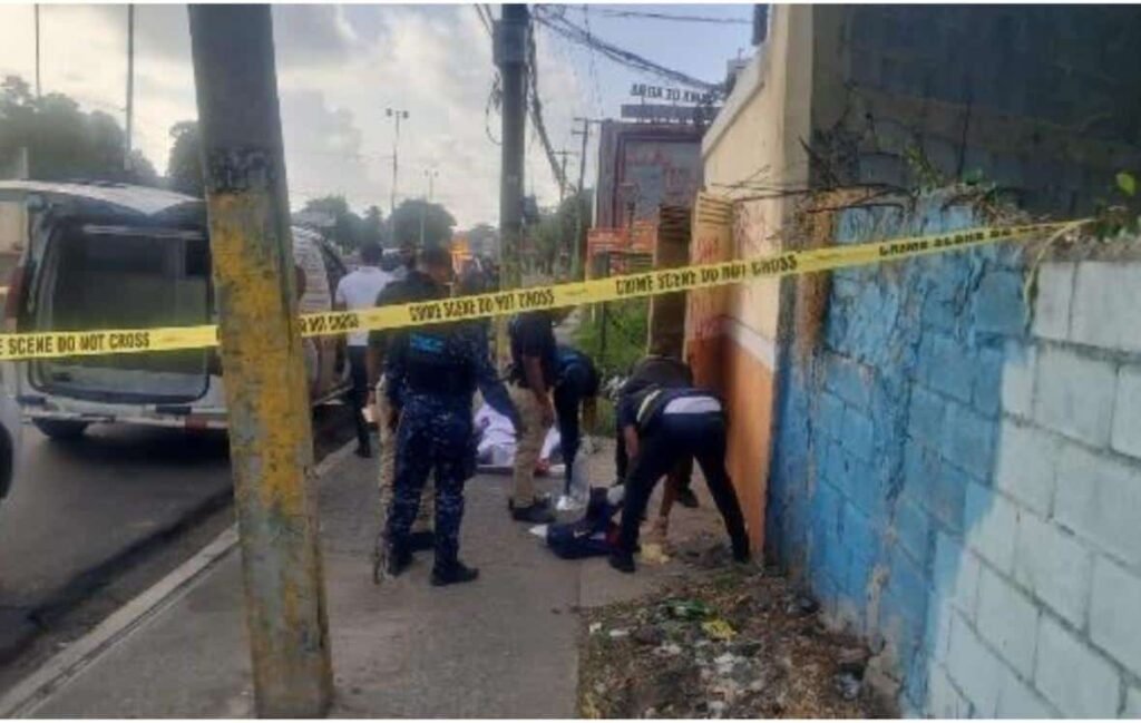 Muerte de Katianely Sánchez Solís en el Distrito Nacional mantiene bajo revisión la actuación oficial