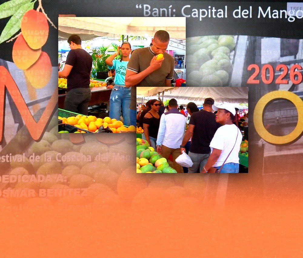Expo Mango 2026 vuelve a mostrar pérdidas por falta de capacidad de procesamiento en el sector