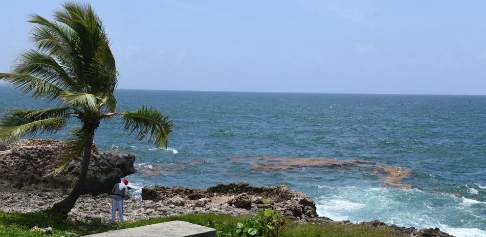 Sargazo aparece en el Malecón mientras no se anuncian acciones específicas