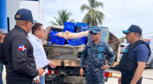 Incautan más de dos toneladas de carne en descomposición en un matadero ilegal de Río San Juan