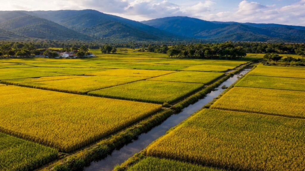 Zonificar cultivos reabre debate por el uso de tierras y agua en zonas agrícolas clave