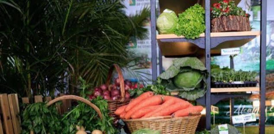Importaciones y costos ahogan a productores de Constanza