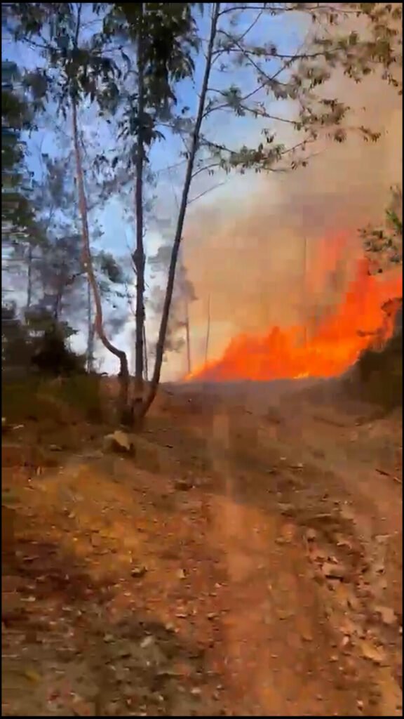 Incendio en Sajoma sigue fuera de control total y deja daños sin cuantificar