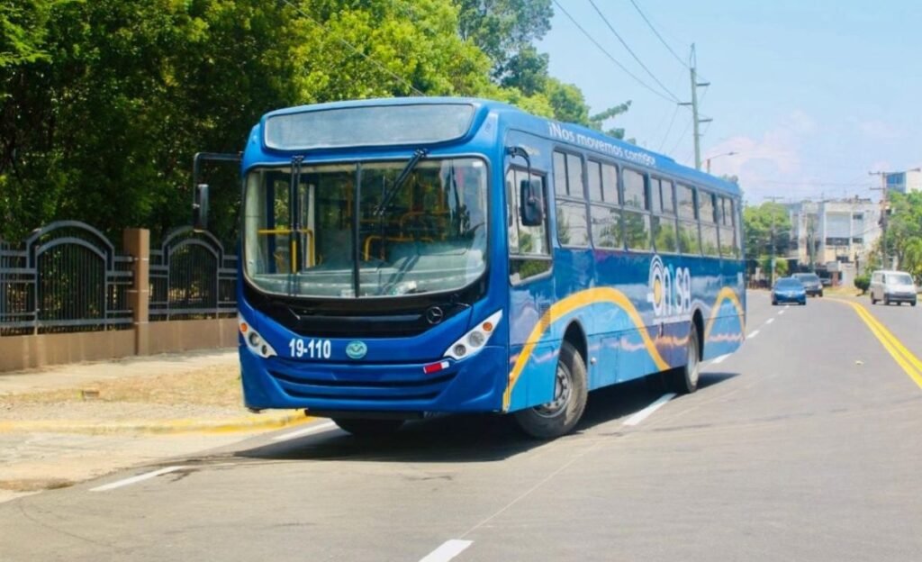 OMSA pone en marcha una ruta gratis para SD 2026 y deja el transporte como prueba central de la organización
