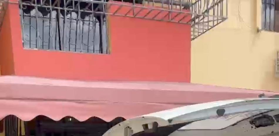 Hallan también muerto al perro en apartamento de Rómulo Betancourt y el caso queda bajo espera oficial