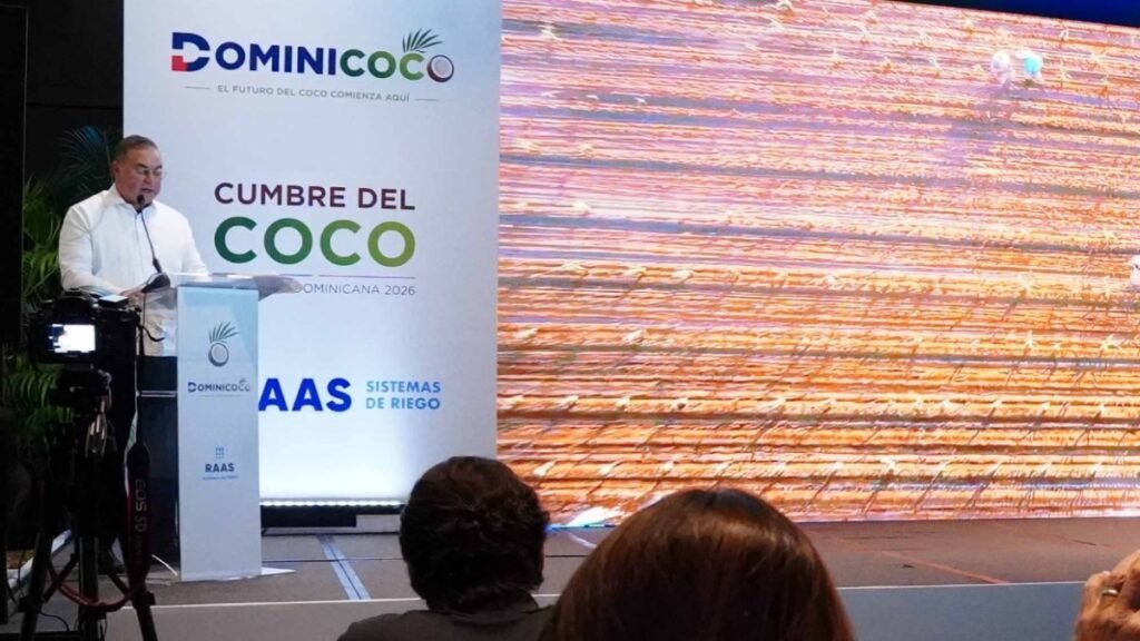 Coco dominicano: gran demanda, poca oferta y un campo que sigue rezagado