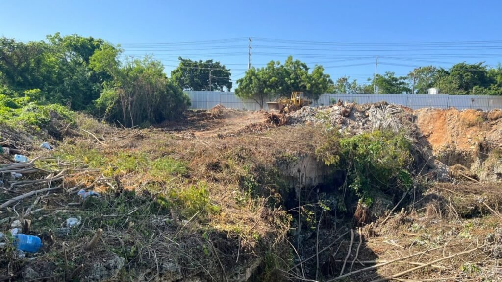 Denuncia por destrucción en parque de Las Américas abre presión sobre autoridades y permisos ambientales